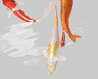 恐怖电影衍生游戏《鬼影实录：遗失片段》2026年发售